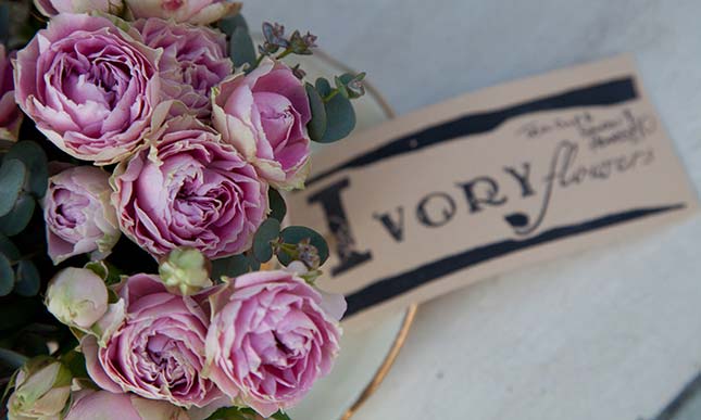 Ivory Flowers