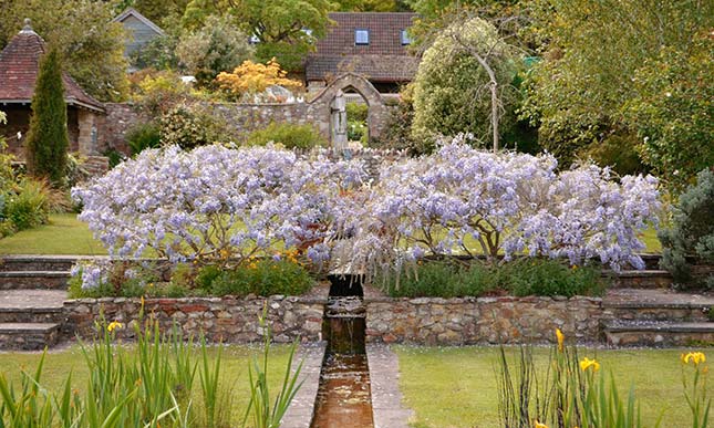 Burrow Farm Gardens