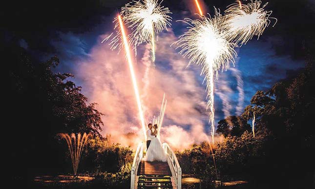 Dynamic Fireworks