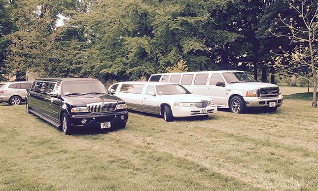 Oasis Limos