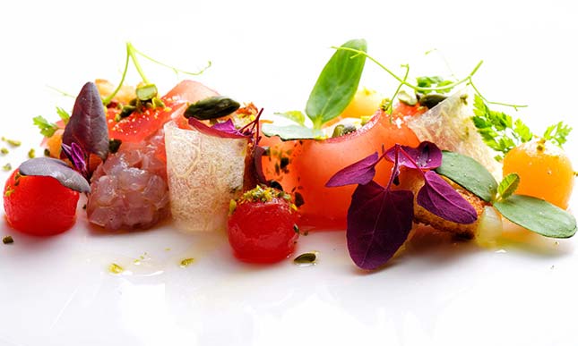 Gastro Catering