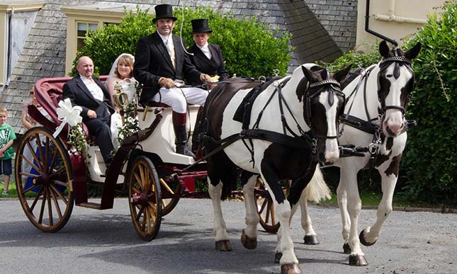 Devon Country Carriages