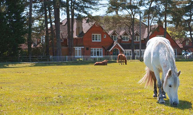 Beaulieu Hotel