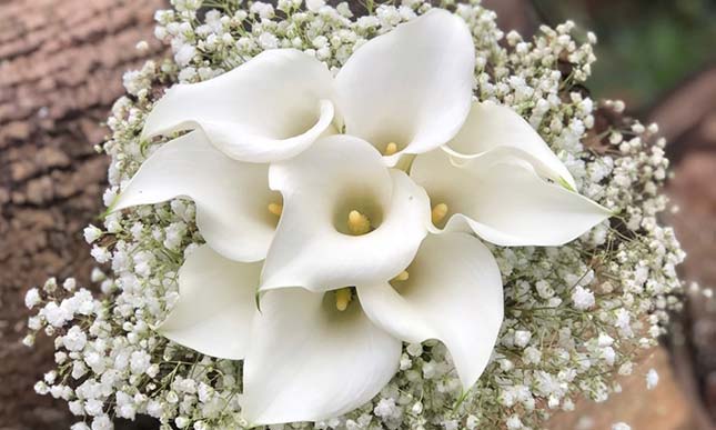 Creations Flowers