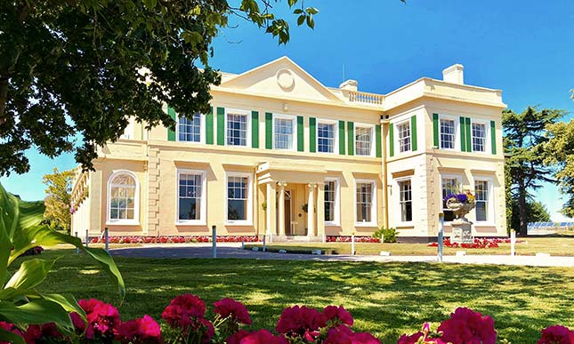 The Lawn