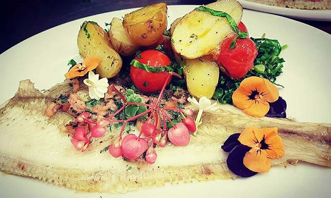 Claire's Catering