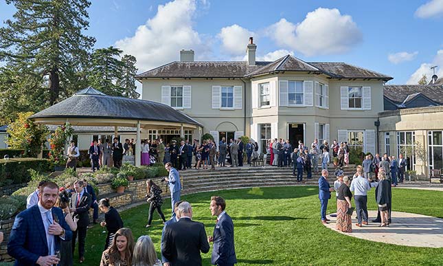 The Vineyard