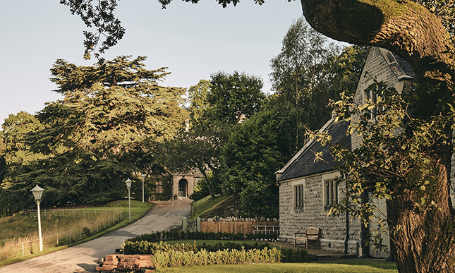 Wildhive Callow Hall