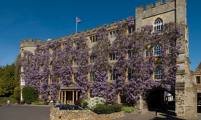 The Castle Hotel