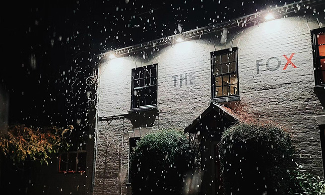 The Fox
