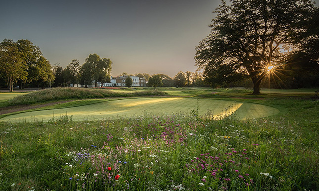 Effingham Golf Club