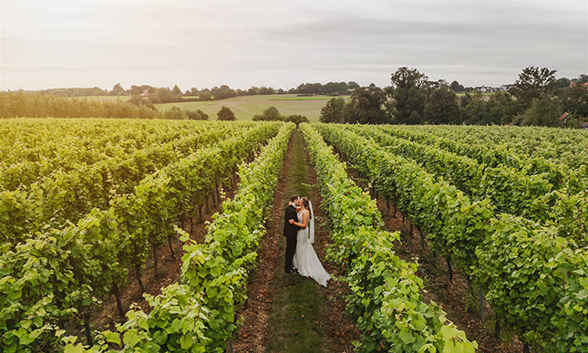 Tuffon Hall Vineyard